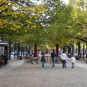 Unter den Linden, Berlin/Mitte