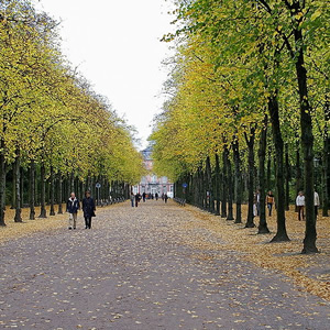 Hofgarten (Düsseldorf), Düsseldorf