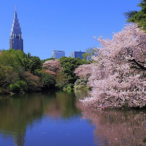 Shinjuku Gyoen, Tokyo