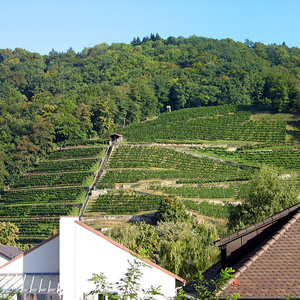 Schlossberg (Freiburg im Breisgau), Freiburg im Breisgau