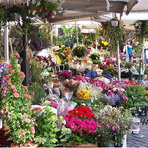 Campo de’ Fiori, Rom