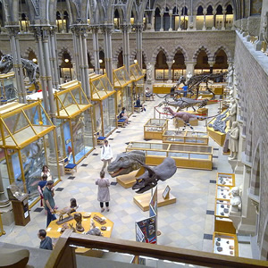 Oxford University Museum of Natural History, Oxford