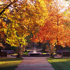 University of Oxford Botanic Garden, Oxford