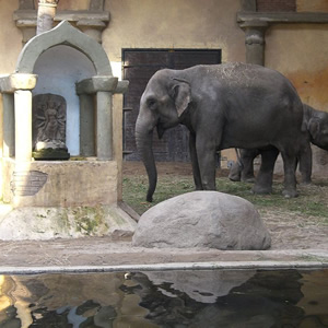 Tierpark Hagenbeck, Nördliche Stadtteile