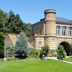 Botanischer Garten Karlsruhe, Karlsruhe