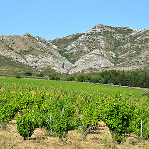 Massif des Alpilles, Regionaler Naturpark Alpillen