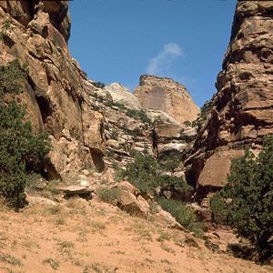 Capitol-Reef-Nationalpark, Capitol-Reef-Nationalpark