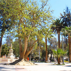 Plaza de Armas, Copiapó