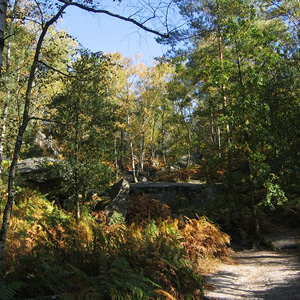 Wald von Fontainebleau , Fontainebleau