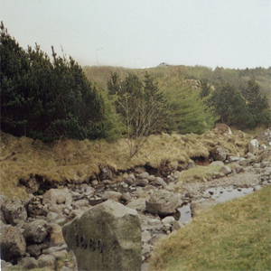 Viðarlundin úti í Grøv, Klaksvík