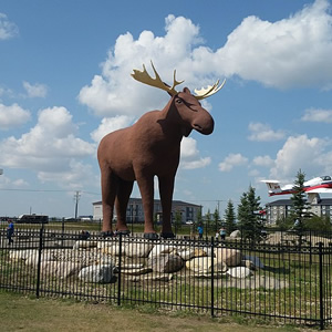 Mac the Moose, Moose Jaw