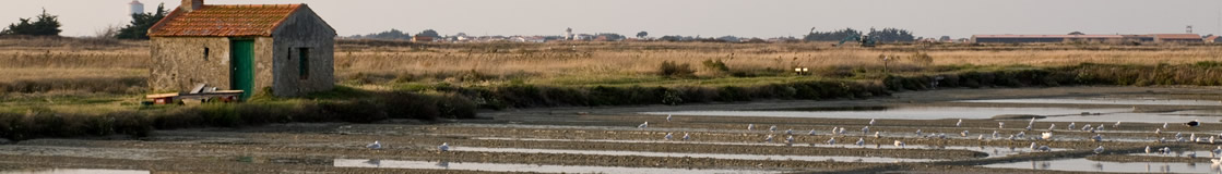 Noirmoutier