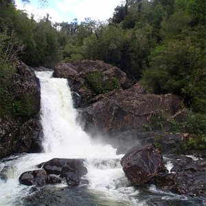 Alerce Andino National Park, Puerto Montt