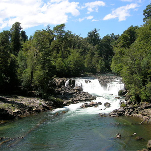 Puyehue National Park, Puerto Montt