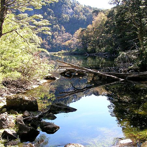 Nationalpark Huerquehue, Villarrica (Chile)