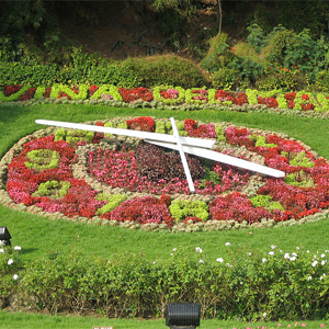 Reloj de Flores, Vina del Mare