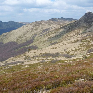 Bieszczady-Nationalpark, Bieszczady-Nationalpark