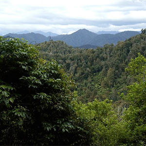 Te-Urewera-Nationalpark, Gisborne