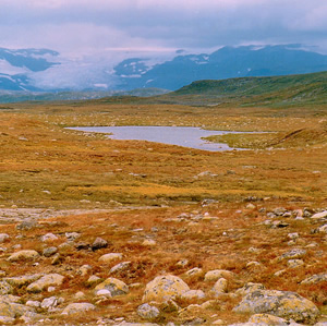 Hardangervidda, Hardangervidda