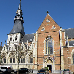 Sint-Quintinus-Kathedrale, Hasselt (Belgien)