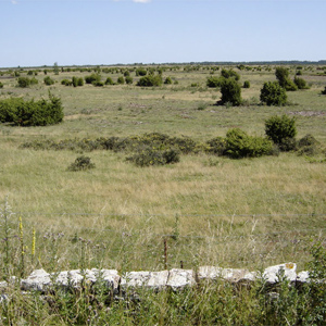 Stora Alvaret, Öland