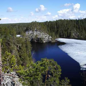 Bärenrunde, Nationalpark Oulanka